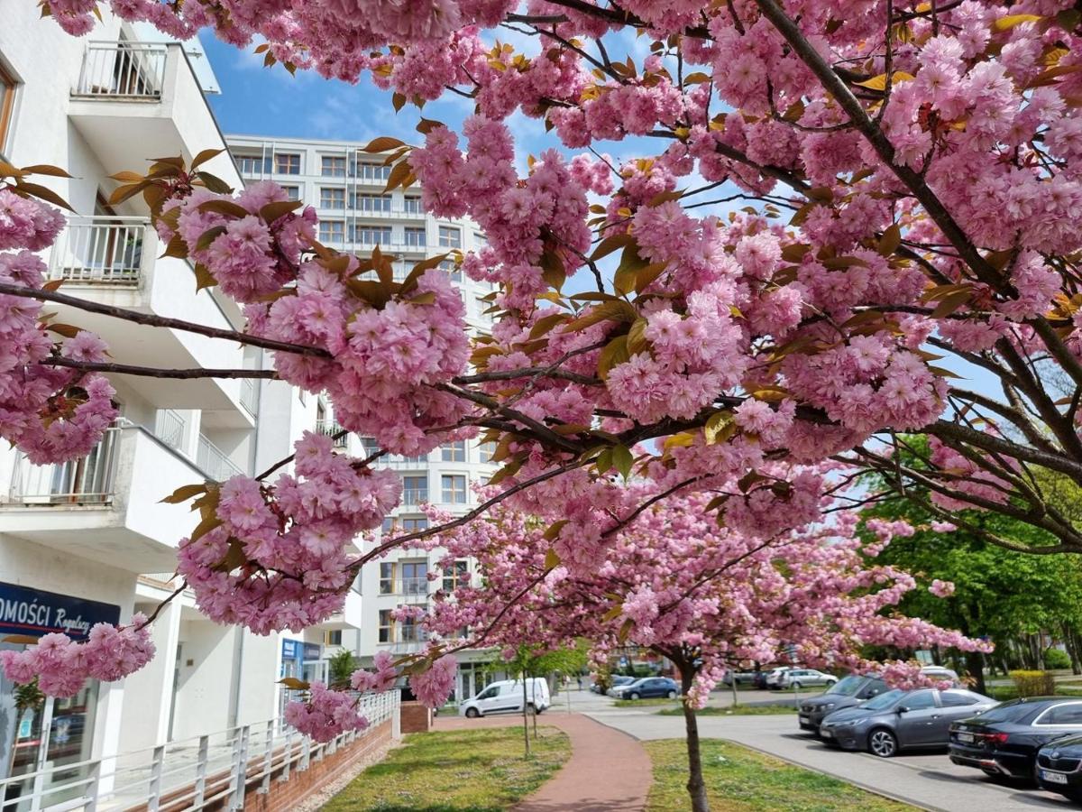 visit baltic - Platan Tower Grey Apartment Swinoujscie Bagian luar foto